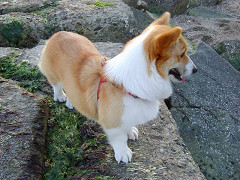 Resize of SANY1004_thumb.jpg